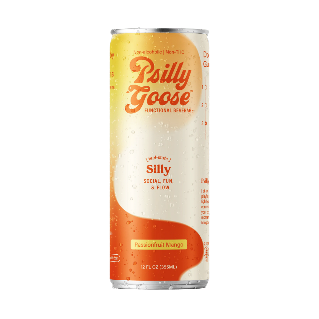 Psilly Goose - Silly-image